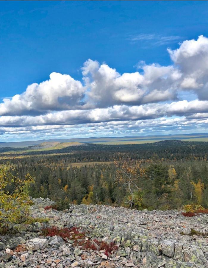 Villa Karhunkehto Луосто Екстериор снимка